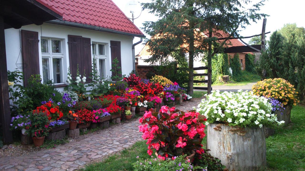 Zajazd Bonanza Jedrzychowice (Wschowa) Exterior foto