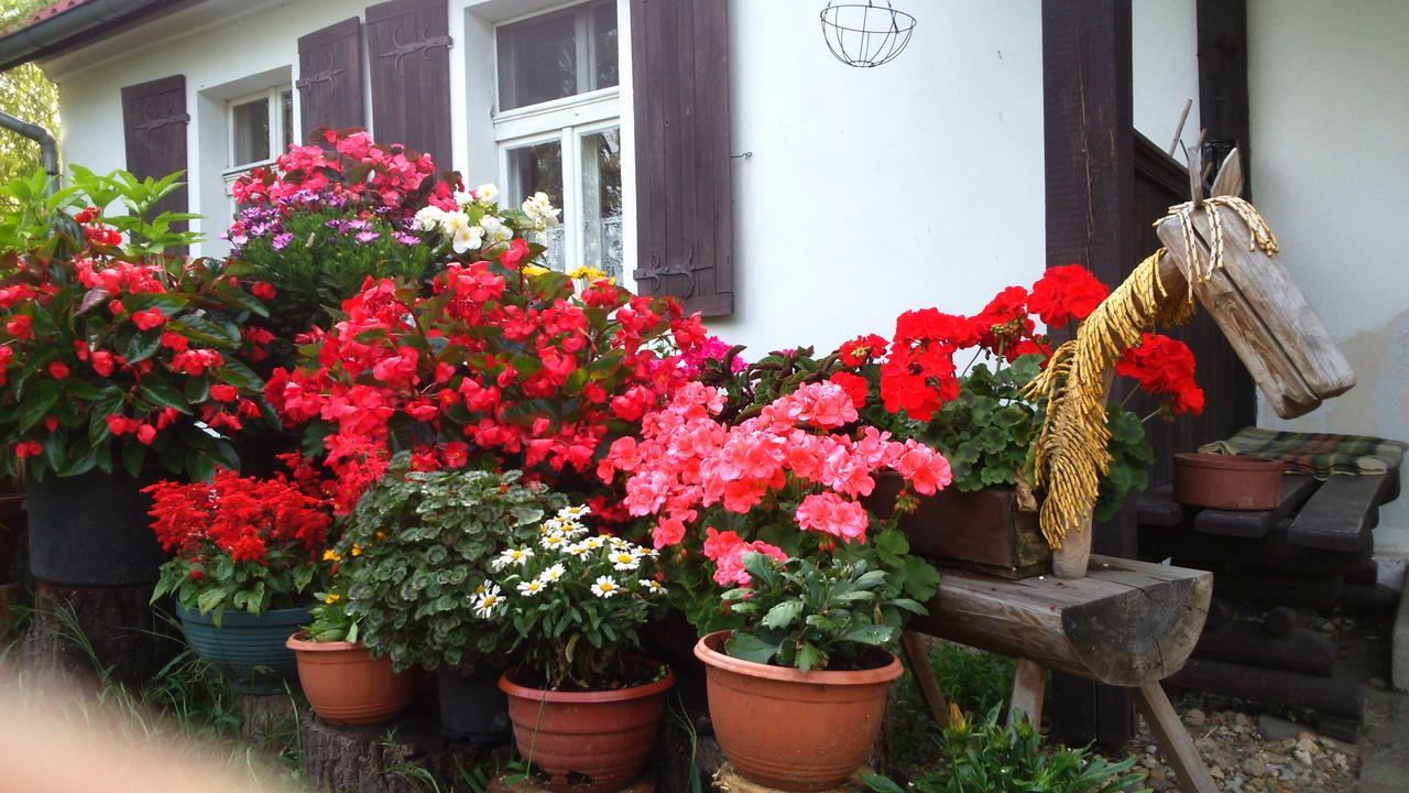 Zajazd Bonanza Jedrzychowice (Wschowa) Exterior foto